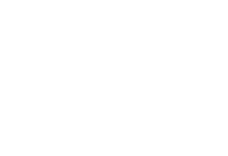 Arya | Slider Shape