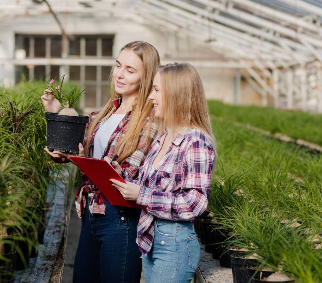 Denizay Sigorta | Hizmet - Sera Sigortası